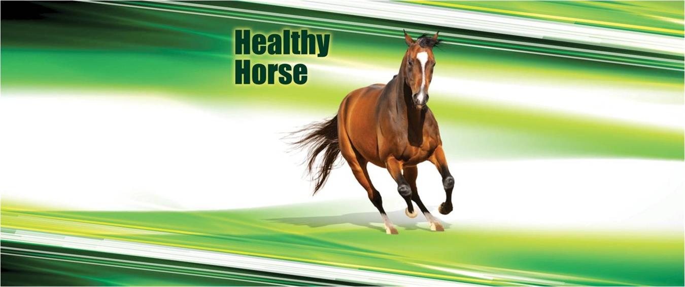healthy horse.jpg 